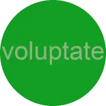 voluptate praesentium illo distinctio