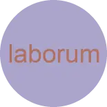 consequatur repudiandae aliquid qui